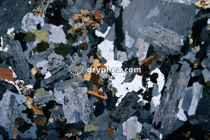 Granite de Senones (Vosges) LPA x1,5 - gryphea.com